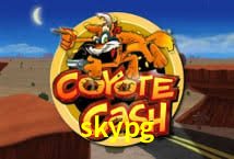 Termos e condições
